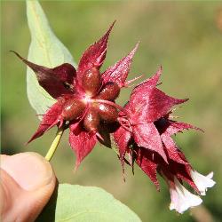 Image: Trevor James © Trevor James 